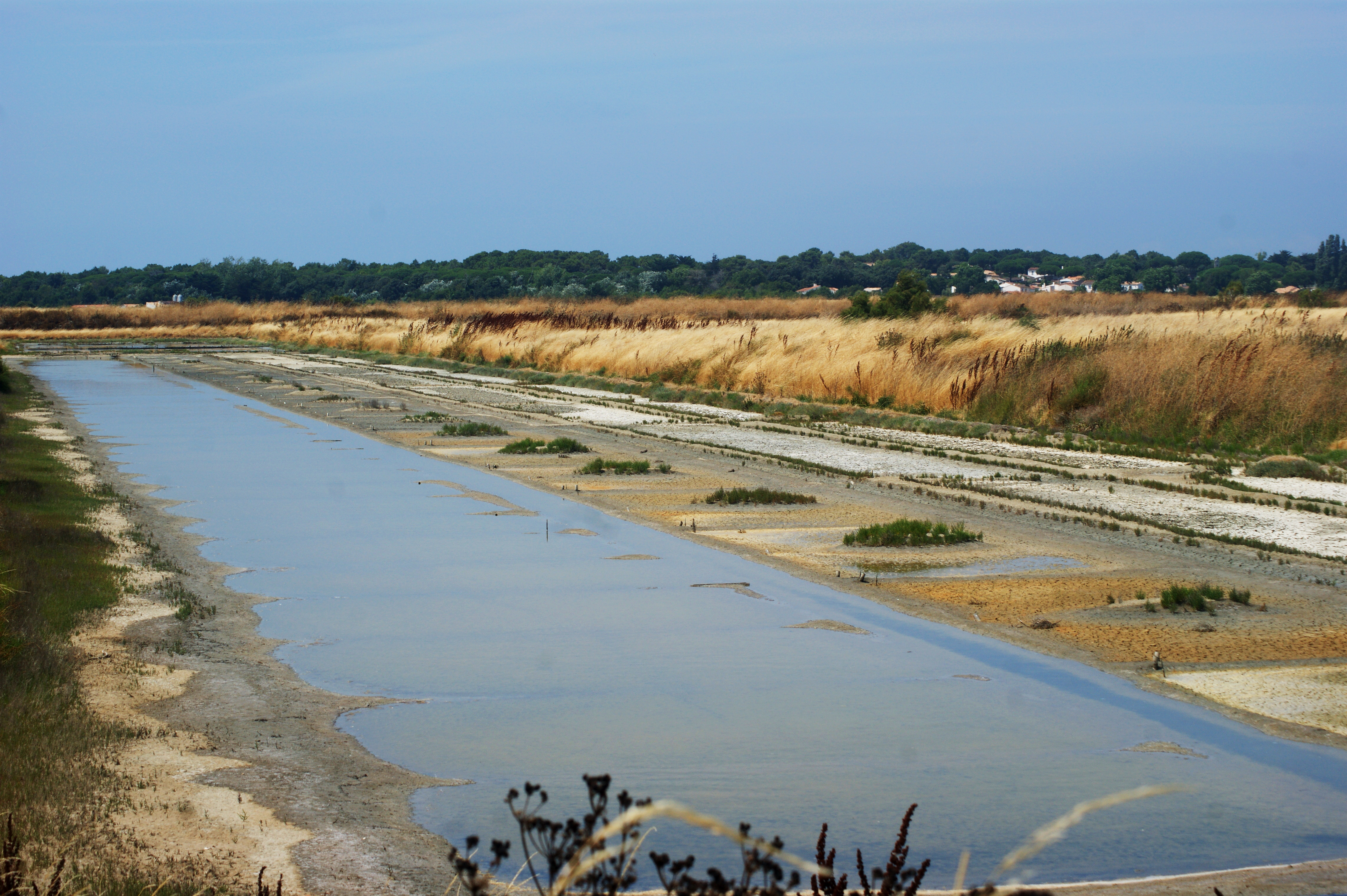 Ile de ré & Sel.